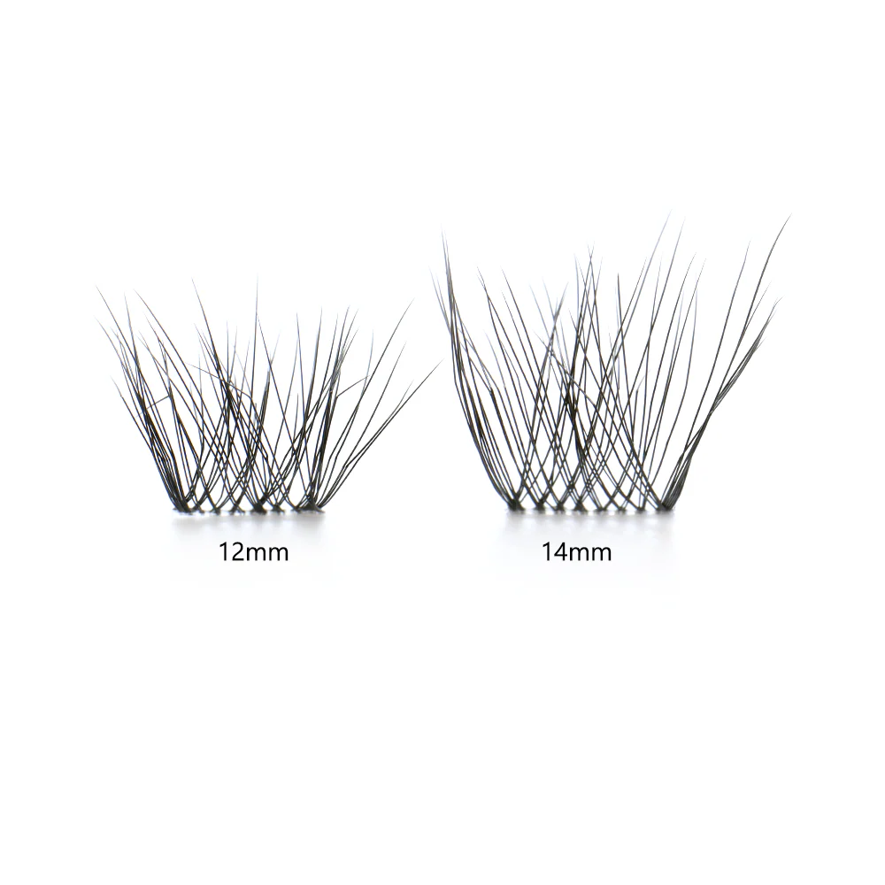 Lara Black Lashes - 12mm - Image 5